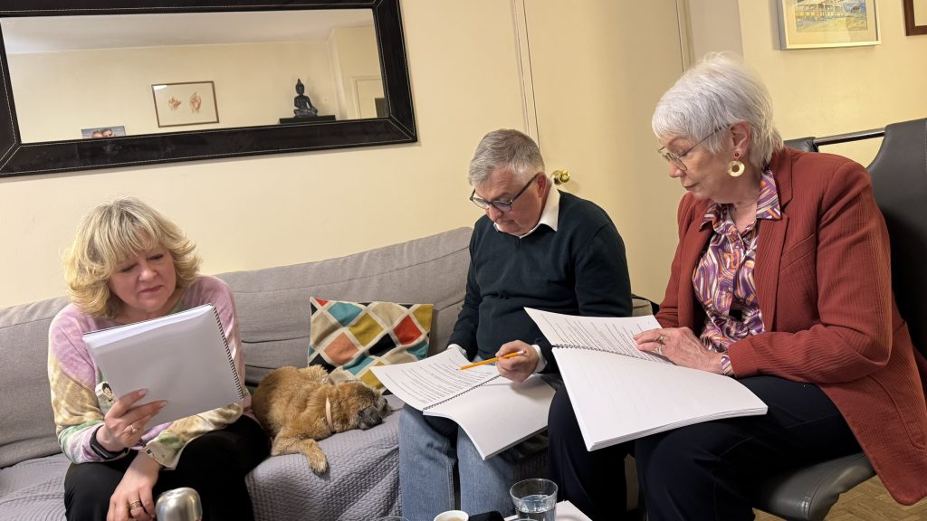 Thumbnail of http://Lecture%20de%20«%20Célébration%20!%20»%20la%20comédie%20de%20Boulevard%20pour%20les%2080%20ans%20de%20la%20Sécurité%20sociale